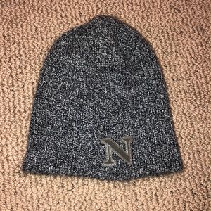 Northeastern Beanie